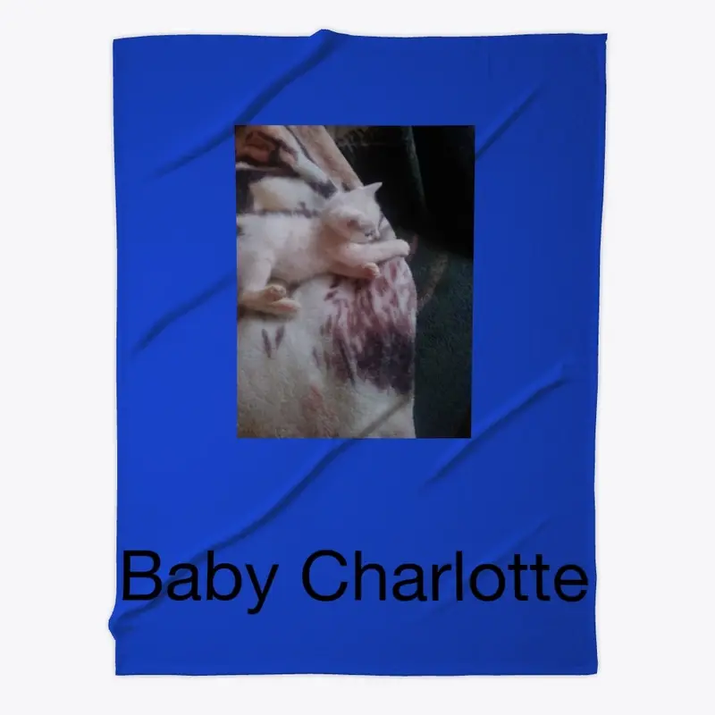 Baby Charlotte's Blanket #2