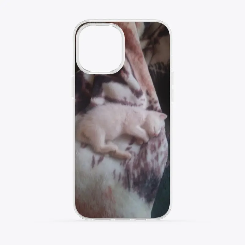 Charlotte's  IPhone Phone Case  #3